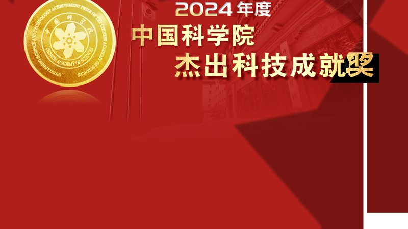 低代码平台：企业数字化转型的加速器