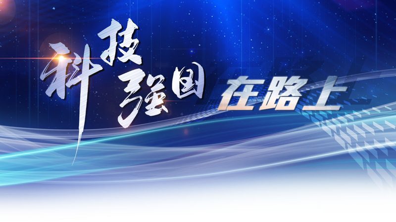 提升网站搜索性能，掌握这些关键策略